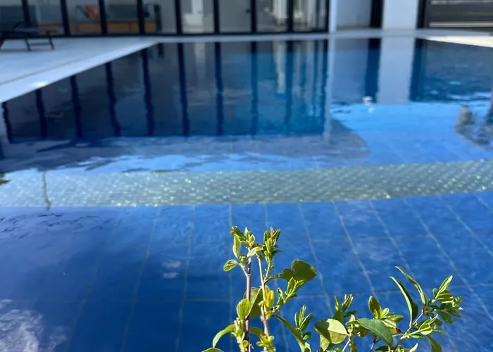 Lt Luxury Villa Rrushkull (Durres)